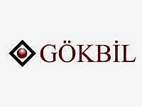 Google İlk Sayfada Çıkmak - Gokbil